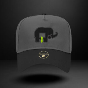 Revindicated Snap back drk gry / blk / neon green