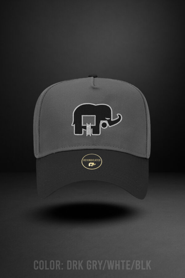 Revindicated Snap back drk gry / blk / white