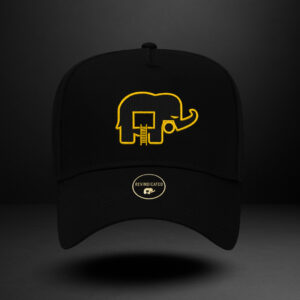 Revindicated Snap back Blk/yellow