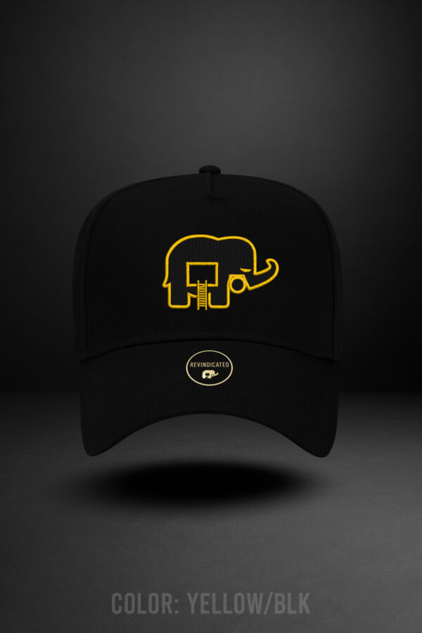 Revindicated Snap back Blk/yellow