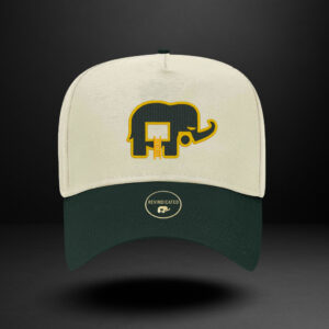 Revindicated Snap back