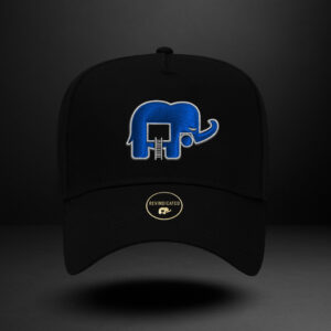 Revindicated Snap back metallic silver / metallic blue