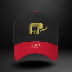 Revindicated Snap back black/ gold/ red