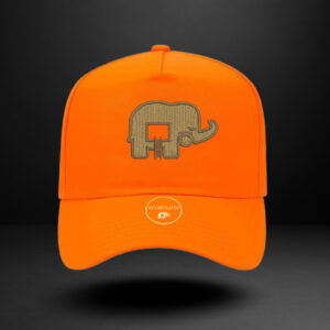 Revindicated Snap back orange/wheat
