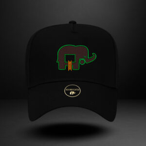 Revindicated Snap back grn/brn/ornge