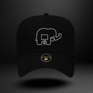 Revindicated Snap back silver