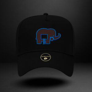 Revindicated Snap blue/brown