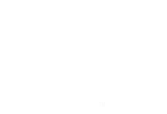 Your Custom Logo Alt Text