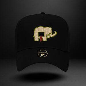 Revindicated Snap back olive/cream/brick