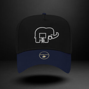 Revindicated Snap back black / white / royal /blue