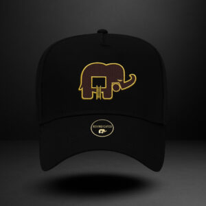 Revindicated Snap back hat gold/brown