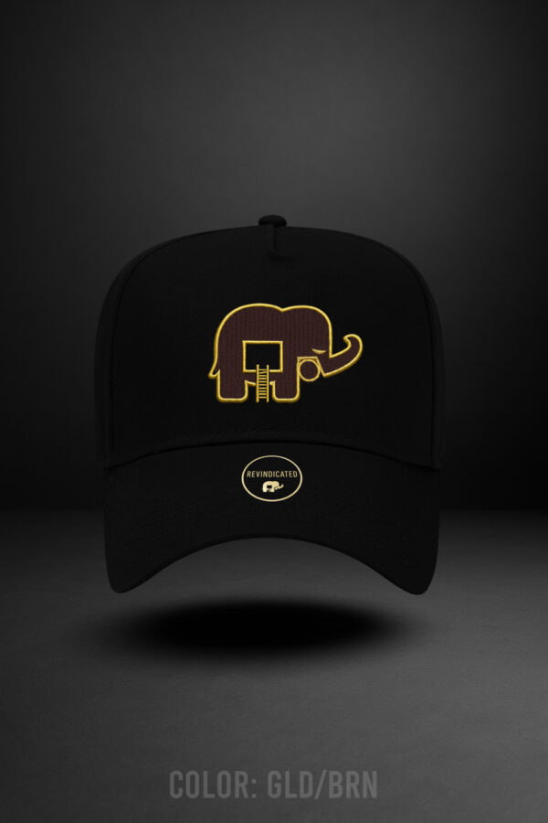 Revindicated Snap back hat gold/brown