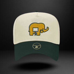 Revindicated Snap back cream / green / yellow