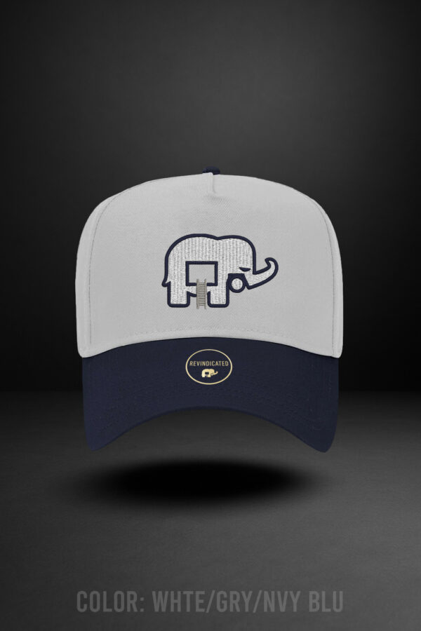Revindicated Snap back black / yellow