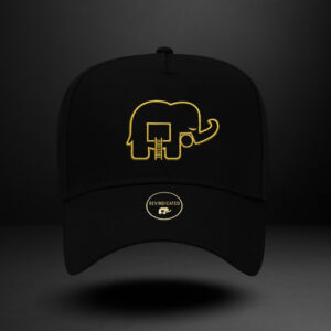 Revindicated Snap back hat Blk/Metallic inca gold