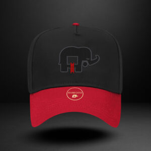 Revindicated Snap back hat Grey/blk /red