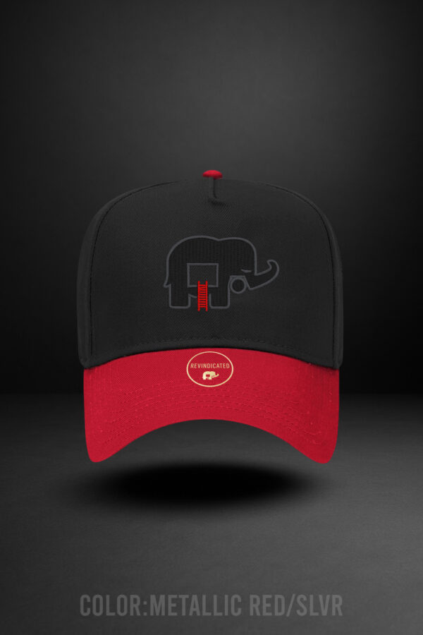 Revindicated Snap back hat Grey/blk /red