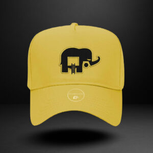 Revindicated Snap back hat Yellow/Blk