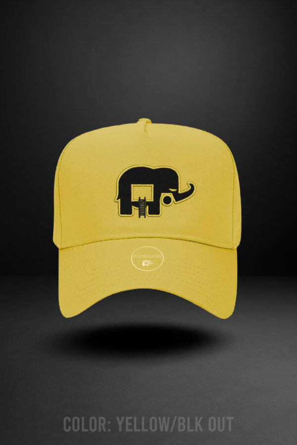 Revindicated Snap back hat Yellow/Blk