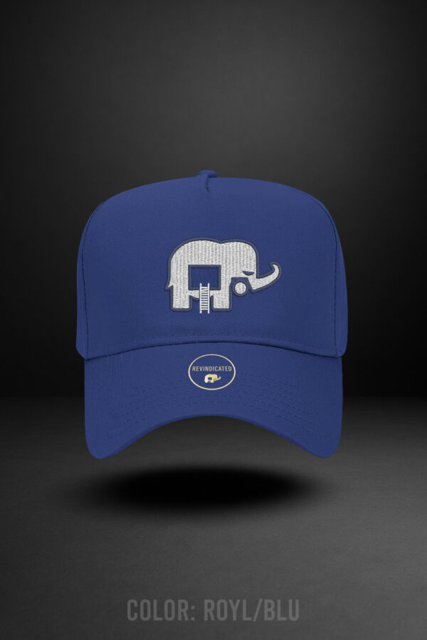 Revindicated Snap back hat Royal blue /white