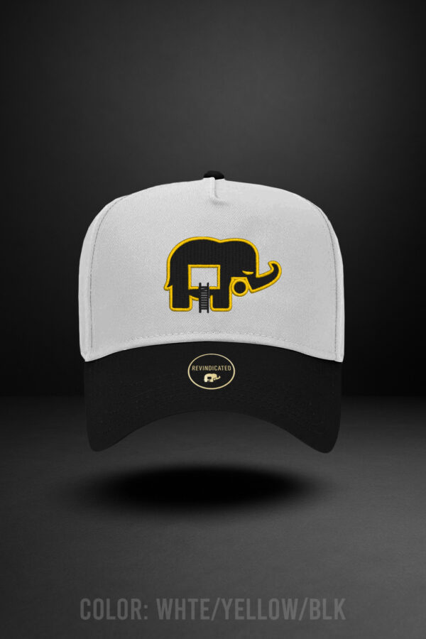 Revindicated Snap back hat white/yellow / blk